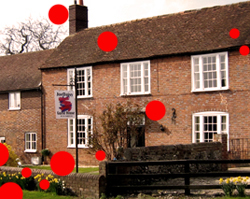 joedaisy guest house