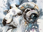 Begin watercolour painting with Liz Chaderton